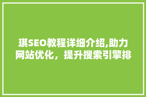 琪SEO教程详细介绍,助力网站优化，提升搜索引擎排名之路