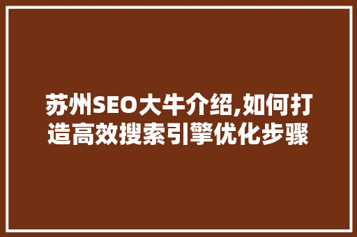 苏州SEO大牛介绍,如何打造高效搜索引擎优化步骤