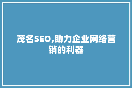 茂名SEO,助力企业网络营销的利器