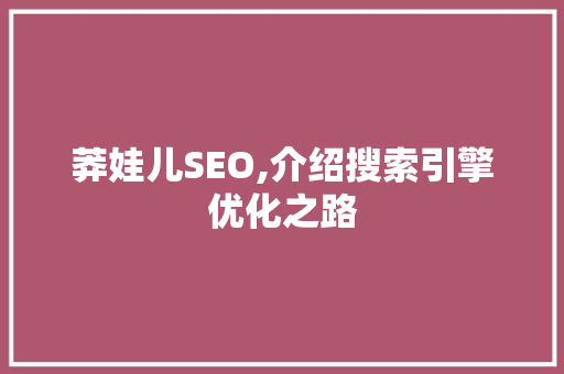 莽娃儿SEO,介绍搜索引擎优化之路