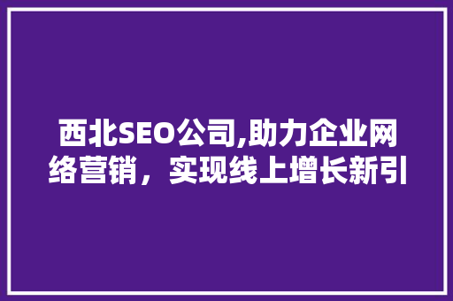 西北SEO公司,助力企业网络营销，实现线上增长新引擎