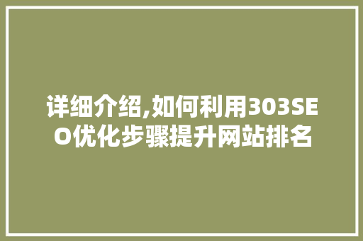 详细介绍,如何利用303SEO优化步骤提升网站排名