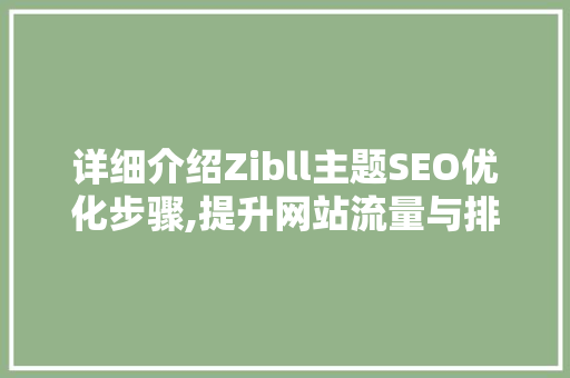 详细介绍Zibll主题SEO优化步骤,提升网站流量与排名的关键方法