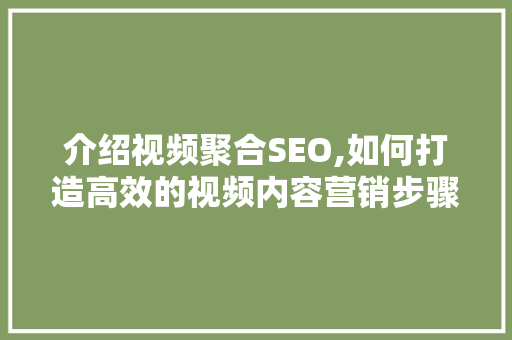 介绍视频聚合SEO,如何打造高效的视频内容营销步骤