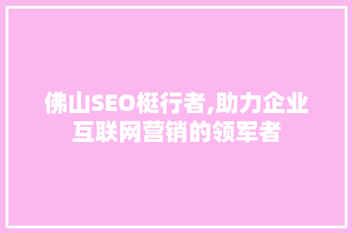 佛山SEO梃行者,助力企业互联网营销的领军者