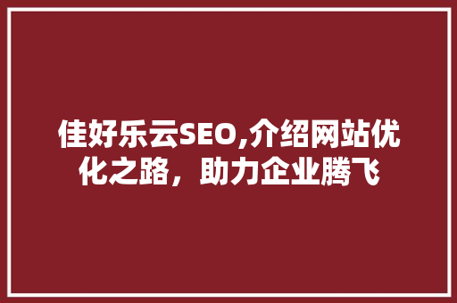 佳好乐云SEO,介绍网站优化之路，助力企业腾飞