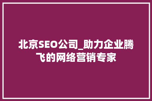北京SEO公司_助力企业腾飞的网络营销专家