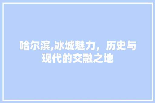 哈尔滨,冰城魅力，历史与现代的交融之地