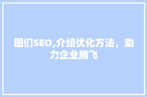 图们SEO,介绍优化方法，助力企业腾飞