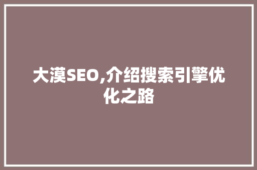 大漠SEO,介绍搜索引擎优化之路