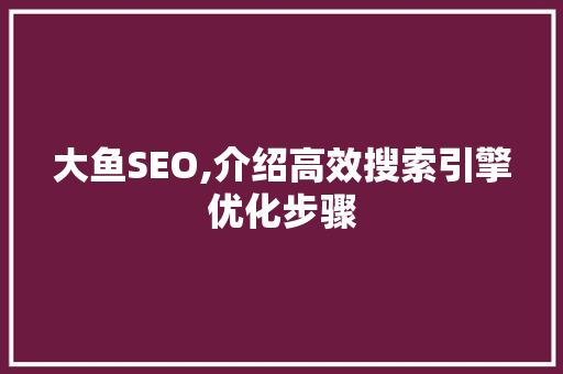 大鱼SEO,介绍高效搜索引擎优化步骤