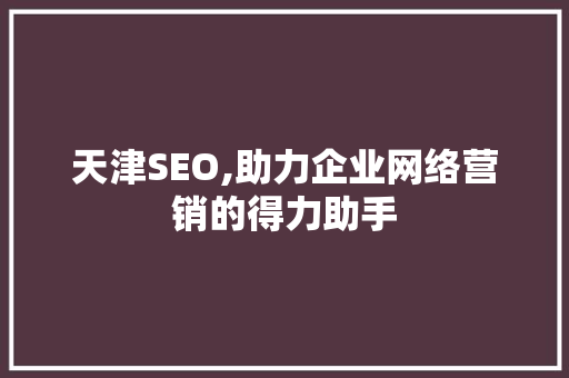 天津SEO,助力企业网络营销的得力助手