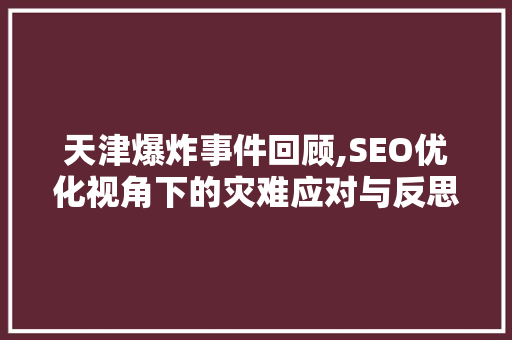 天津爆炸事件回顾,SEO优化视角下的灾难应对与反思