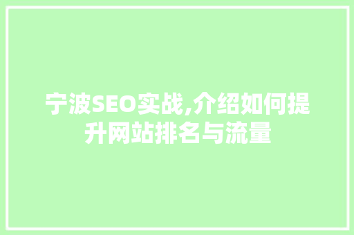宁波SEO实战,介绍如何提升网站排名与流量