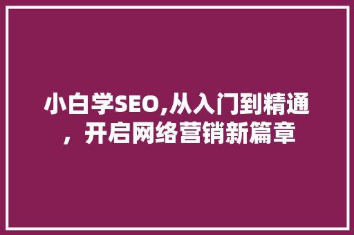 小白学SEO,从入门到精通，开启网络营销新篇章