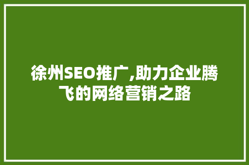 徐州SEO推广,助力企业腾飞的网络营销之路
