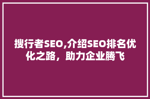 搜行者SEO,介绍SEO排名优化之路，助力企业腾飞