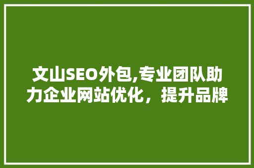 文山SEO外包,专业团队助力企业网站优化，提升品牌竞争力