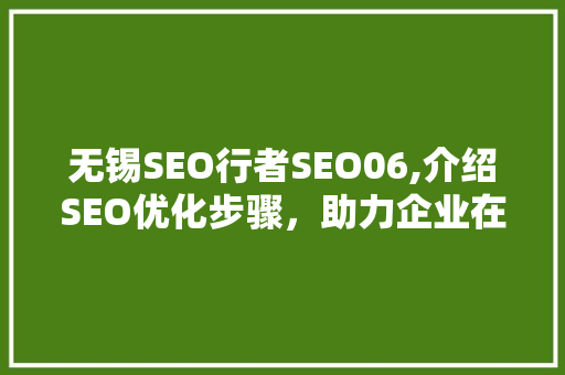 无锡SEO行者SEO06,介绍SEO优化步骤，助力企业在线营销