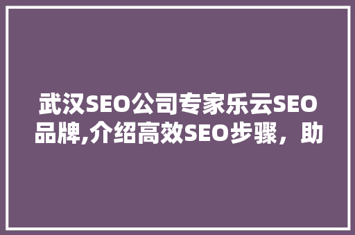 武汉SEO公司专家乐云SEO品牌,介绍高效SEO步骤，助力企业腾飞