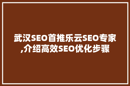 武汉SEO首推乐云SEO专家,介绍高效SEO优化步骤