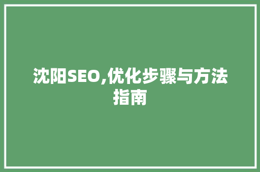 沈阳SEO,优化步骤与方法指南