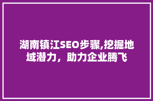 湖南镇江SEO步骤,挖掘地域潜力，助力企业腾飞