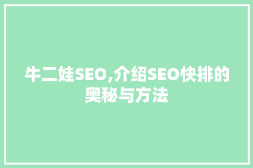 牛二娃SEO,介绍SEO快排的奥秘与方法