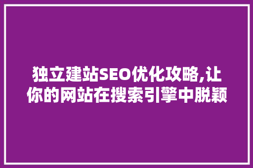 独立建站SEO优化攻略,让你的网站在搜索引擎中脱颖而出