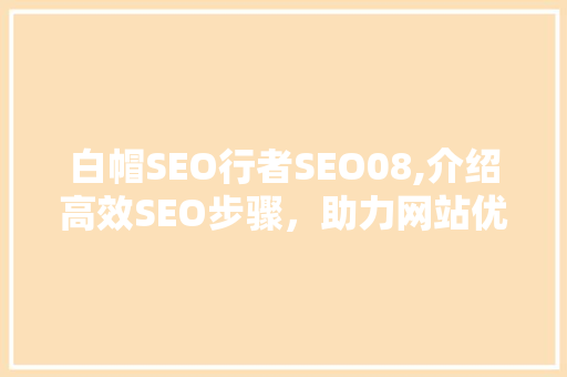 白帽SEO行者SEO08,介绍高效SEO步骤，助力网站优化之路