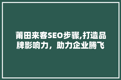莆田来客SEO步骤,打造品牌影响力，助力企业腾飞