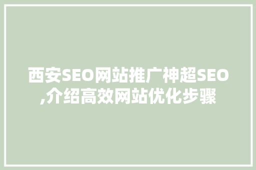 西安SEO网站推广神超SEO,介绍高效网站优化步骤
