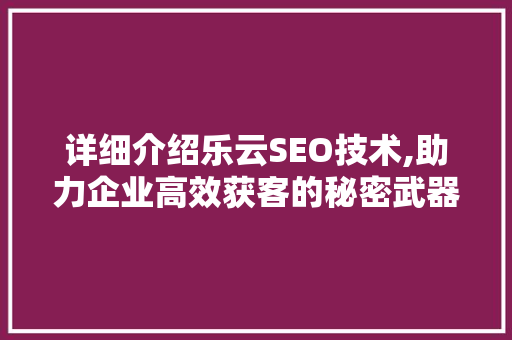 详细介绍乐云SEO技术,助力企业高效获客的秘密武器