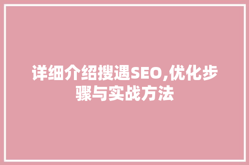 详细介绍搜遇SEO,优化步骤与实战方法