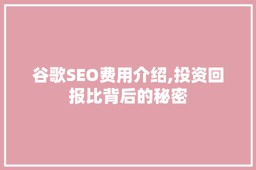 谷歌SEO费用介绍,投资回报比背后的秘密