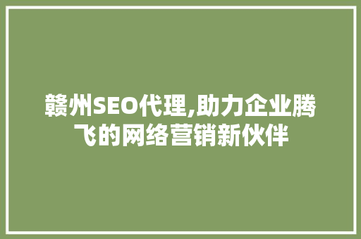 赣州SEO代理,助力企业腾飞的网络营销新伙伴