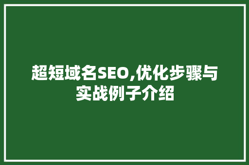 超短域名SEO,优化步骤与实战例子介绍