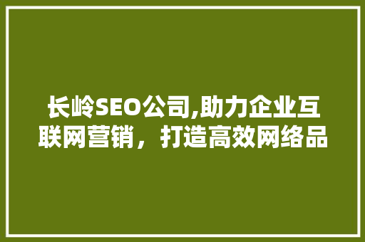 长岭SEO公司,助力企业互联网营销，打造高效网络品牌形象
