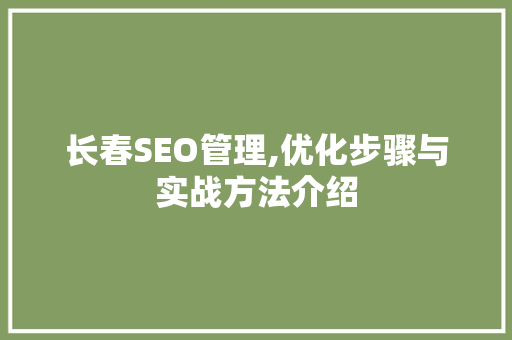长春SEO管理,优化步骤与实战方法介绍