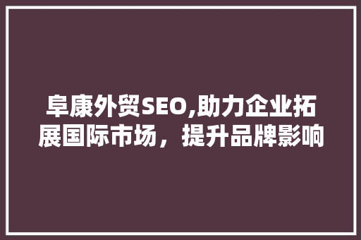 阜康外贸SEO,助力企业拓展国际市场，提升品牌影响力