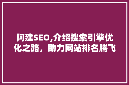 阿建SEO,介绍搜索引擎优化之路，助力网站排名腾飞