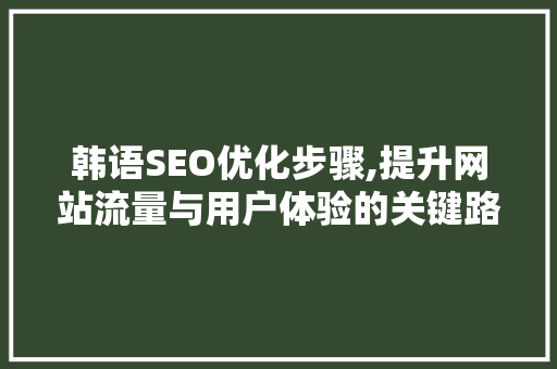 韩语SEO优化步骤,提升网站流量与用户体验的关键路径