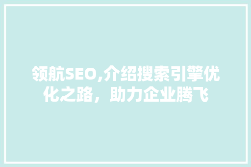 领航SEO,介绍搜索引擎优化之路，助力企业腾飞