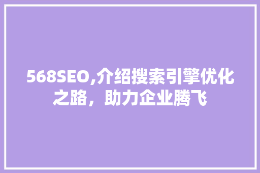 568SEO,介绍搜索引擎优化之路，助力企业腾飞