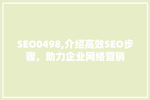 SEO0498,介绍高效SEO步骤，助力企业网络营销