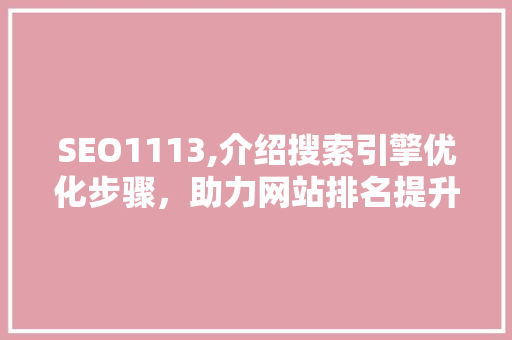 SEO1113,介绍搜索引擎优化步骤，助力网站排名提升
