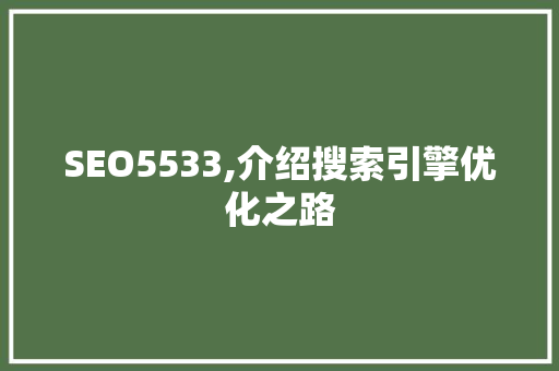 SEO5533,介绍搜索引擎优化之路