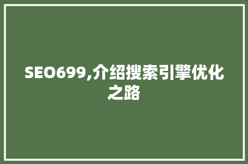 SEO699,介绍搜索引擎优化之路