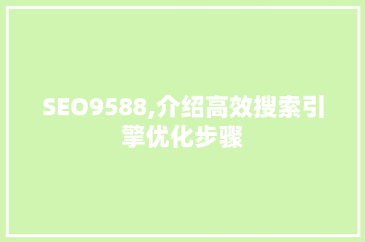 SEO9588,介绍高效搜索引擎优化步骤