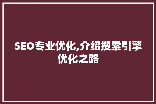 SEO专业优化,介绍搜索引擎优化之路